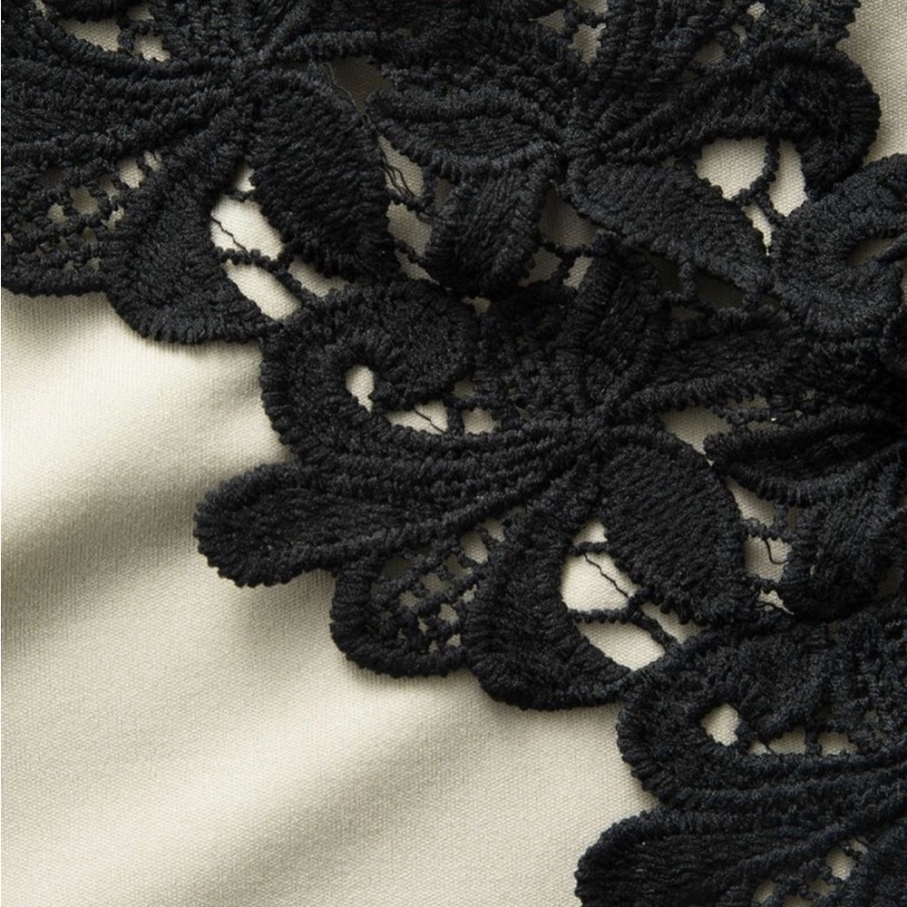 Asymmetrical Lace-Trim Bodycon Dress - Black on Cream - Picture 5 of 5